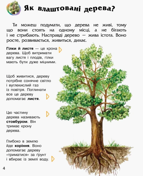 Ліс