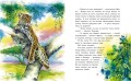 Сказки дальних стран
