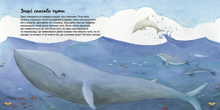 Які органи чуття у тварин?