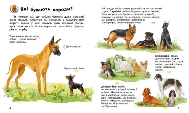 Собаки. Енциклопедія дошкільника2.jpg