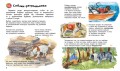 Собаки. Енциклопедія дошкільника4.jpg