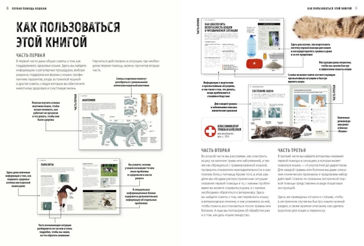 Первая помощь кошкам. Осмотр, действия в экстренных ситуациях, аптечка первой помощи, здоровье, корм