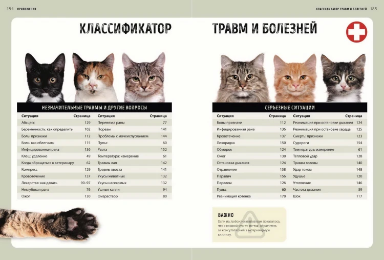 Первая помощь кошкам. Осмотр, действия в экстренных ситуациях, аптечка первой помощи, здоровье, корм