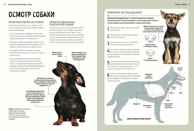 Первая помощь собакам. Осмотр, действия в экстренных ситуациях, аптечка первой помощи, социализация,