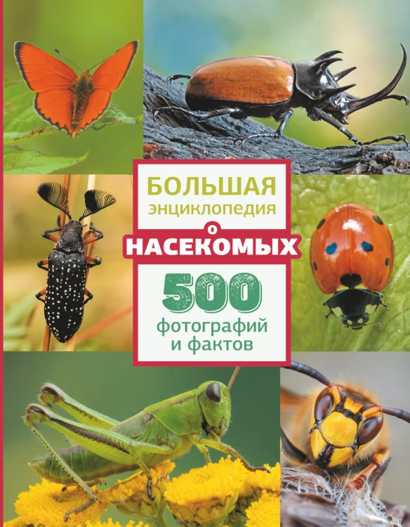 Большая энциклопедия о насекомых. 500 фотографий и фактов