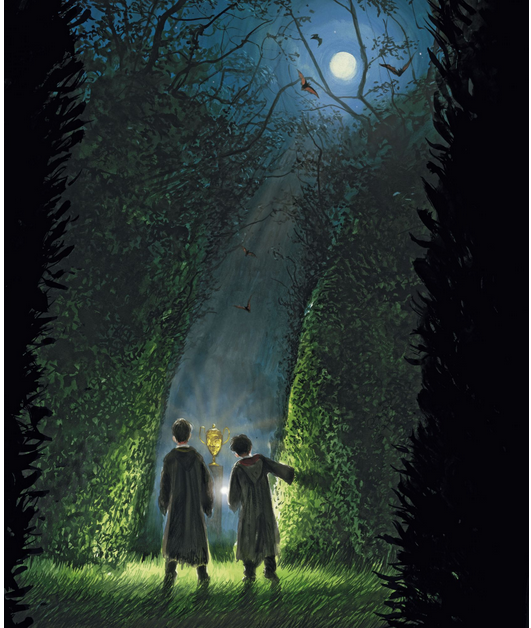 Screenshot_2020-08-31 Купить книгу «Гарри Поттер и Кубок Огня (с цветными иллюстрациями)», Дж К Роулинг Издательство «Махао[...](1).png