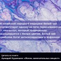 Жизнь замечательных веществ
