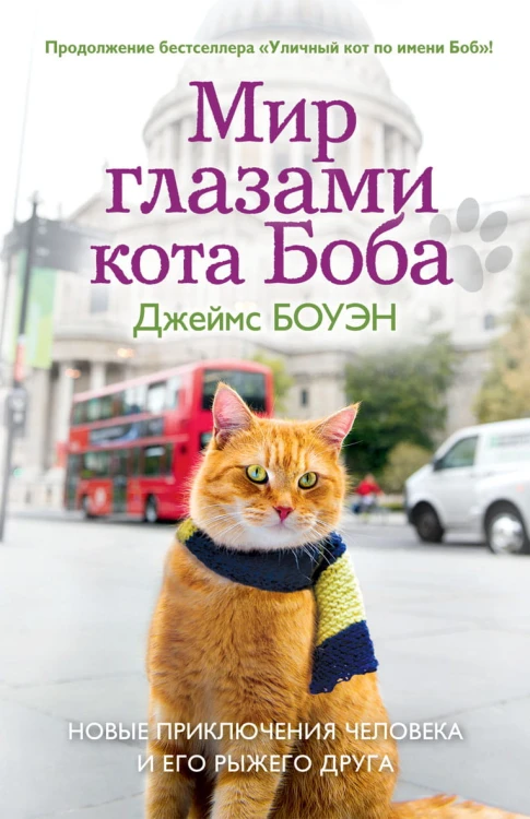 Мир глазами кота Боба. Новые приключения человека и его рыжего друга