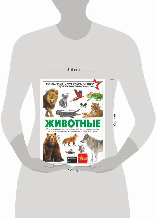 Животные