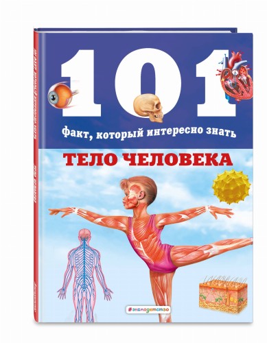 Тело человека