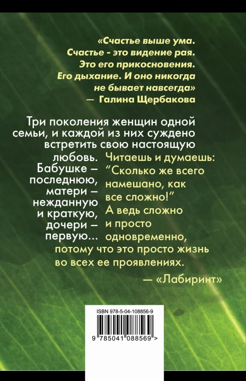 Женщины в игре без правил