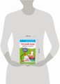 Русский язык. Кратко и понятно. 1-4 классы