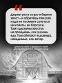 Страшные истории для маленьких лисят. Большой город