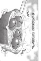 Beastars. Выдающиеся звери. Том 6