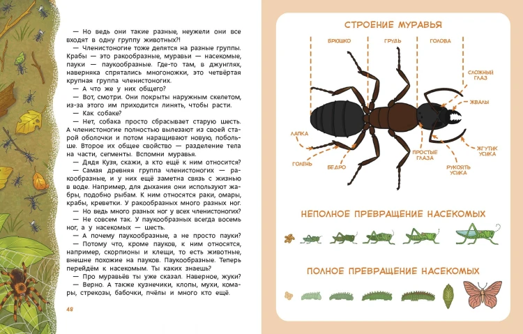 Животные. Детская энциклопедия (Чевостик)