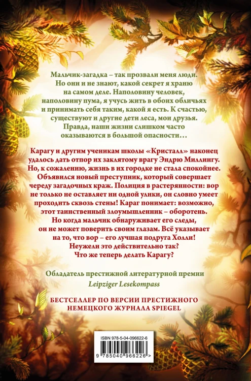 Тайна Холли (#3)