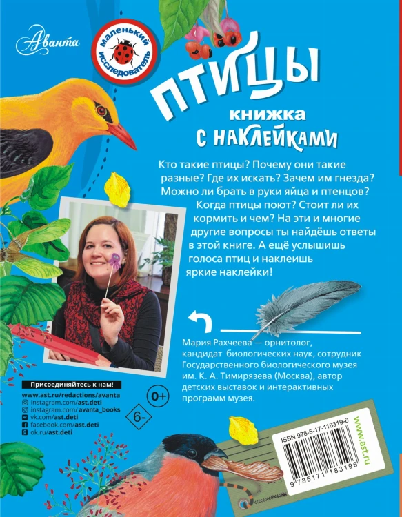 Птицы