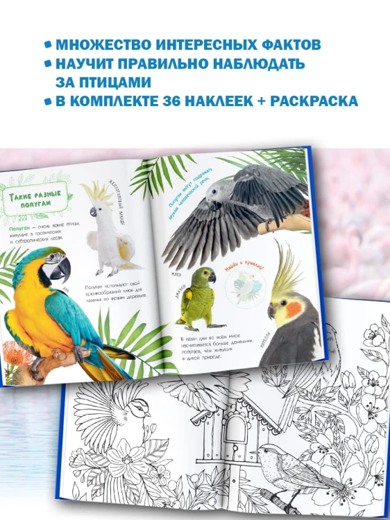 Птицы