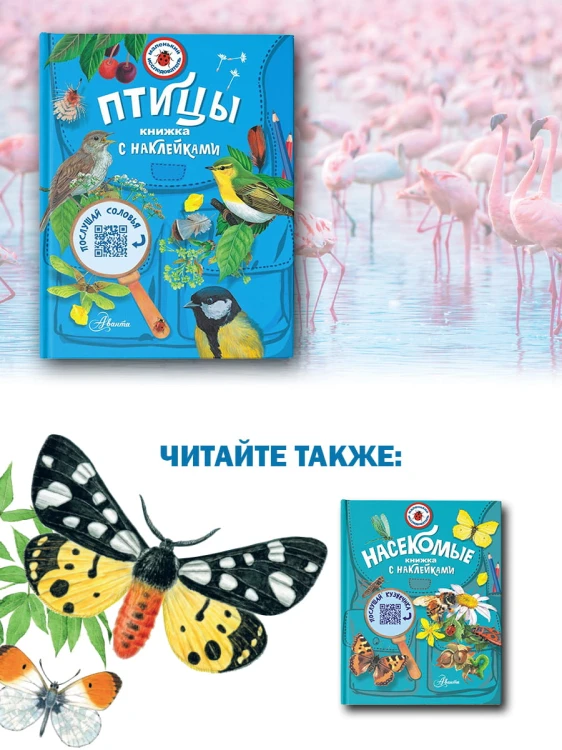 Птицы