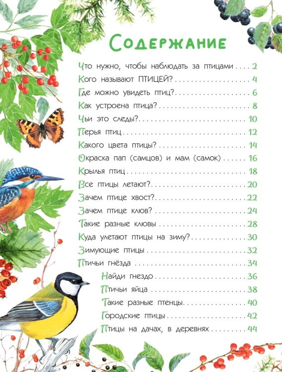 Птицы
