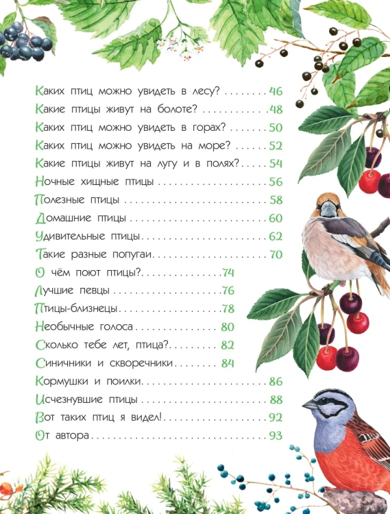 Птицы