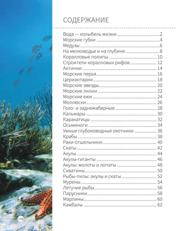 Всё о подводном мире