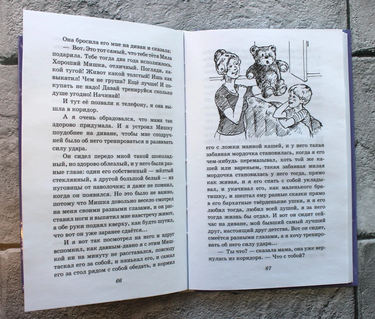 Профессор кислых щей. Рассказы (ил. А. Босина)