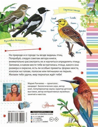 Птицы