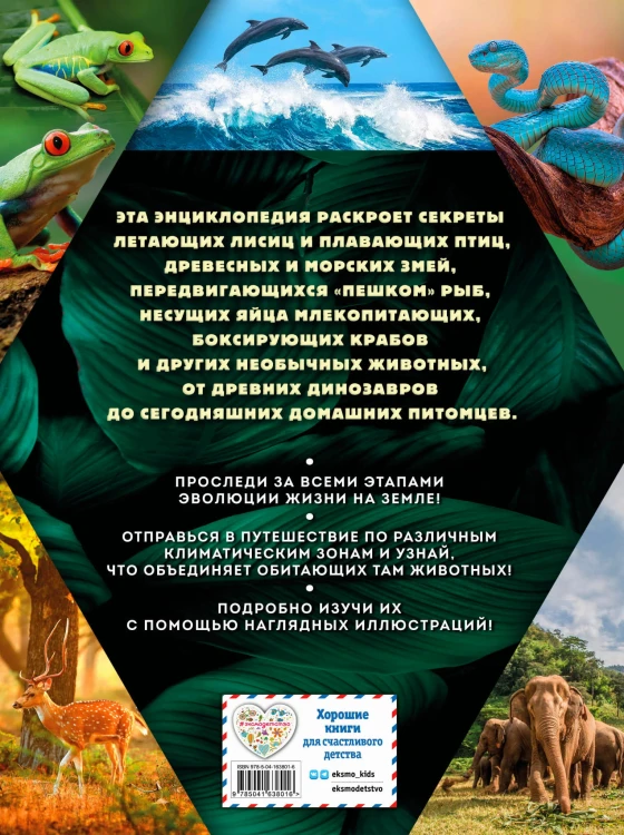 Тайны животных. Самая невероятная энциклопедия