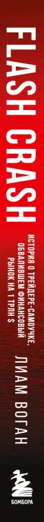 Flash Crash. История о трейдере-самоучке, обвалившем финансовый рынок на 1 трлн $