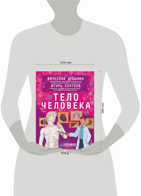 Тело человека