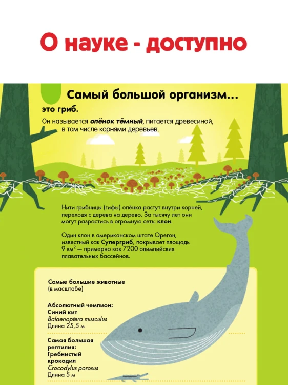 Наука