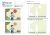 Screenshot_2020-09-27 Kumon Развитие мышления Творческие способности(7).png