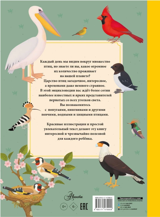 Птицы
