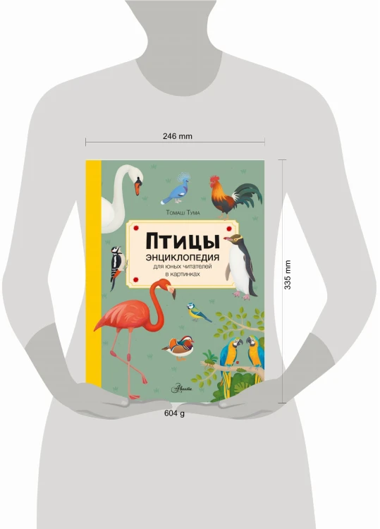 Птицы
