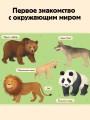 Животные