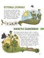 Цветы и растения