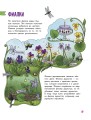 Цветы и растения