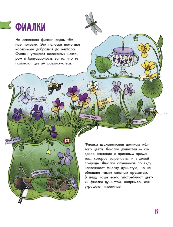 Цветы и растения