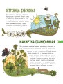 Цветы и растения
