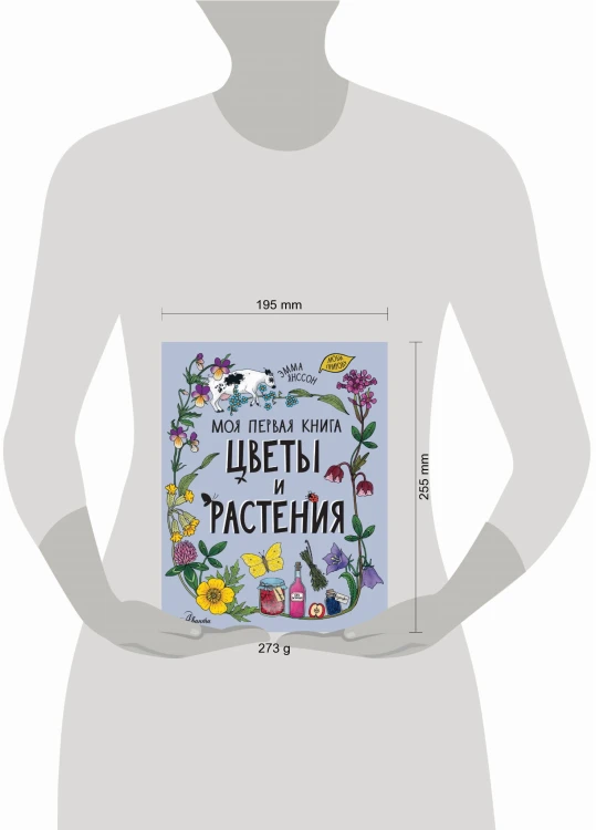 Цветы и растения