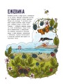 Грибы и ягоды