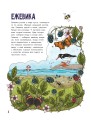 Грибы и ягоды