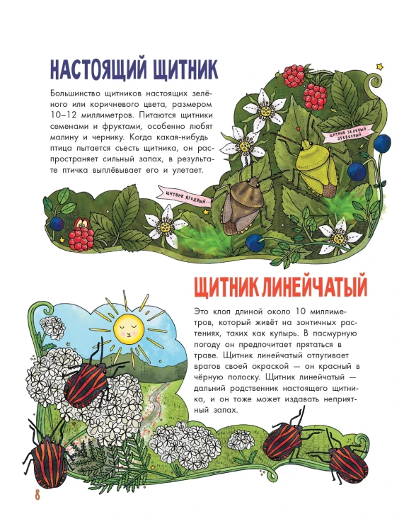 Насекомые