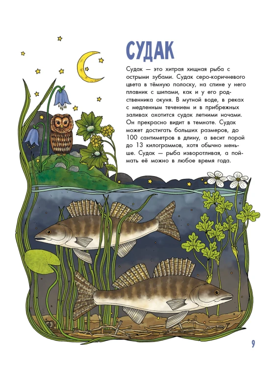 Рыбы
