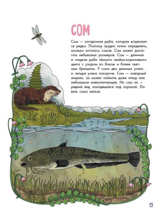 Рыбы