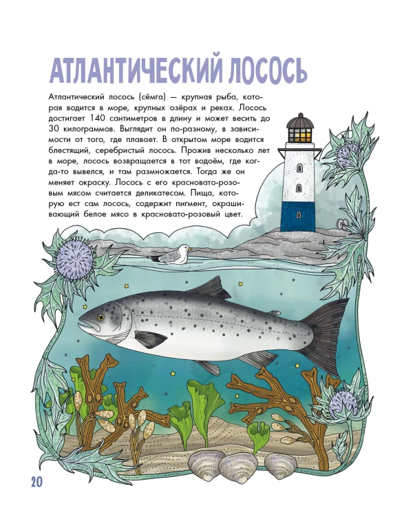 Рыбы