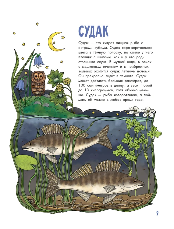 Рыбы