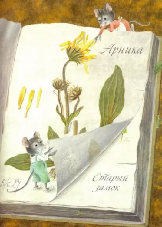 Волшебная книга полезных трав