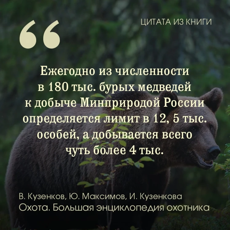 Охота. Большая энциклопедия. 17 диких зверей